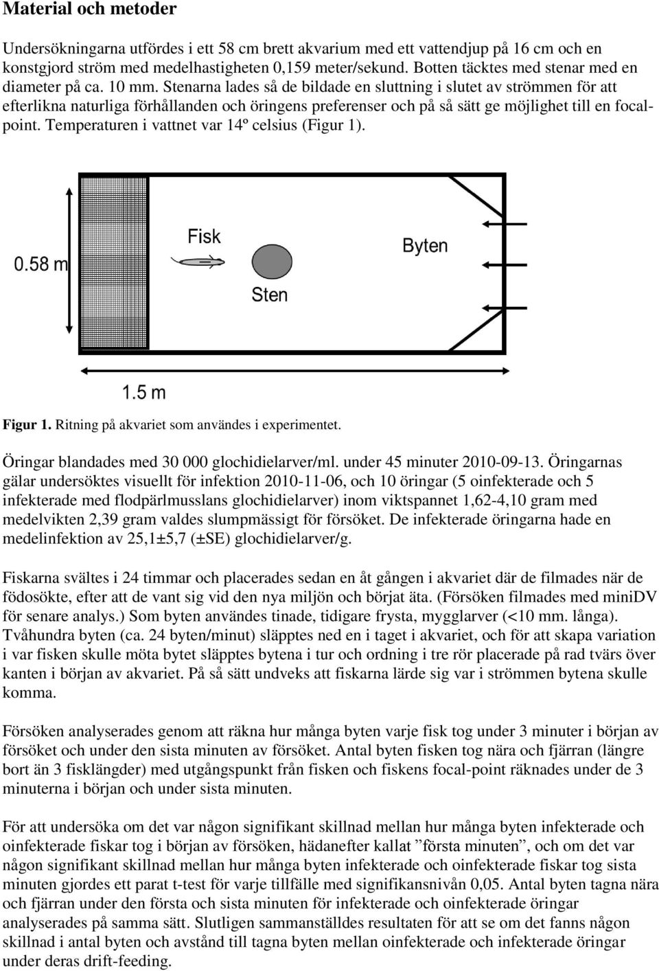 Stenarna lades så de bildade en sluttning i slutet av strömmen för att efterlikna naturliga förhållanden och öringens preferenser och på så sätt ge möjlighet till en focalpoint.