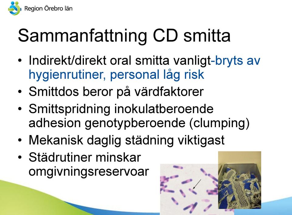 Smittspridning inokulatberoende adhesion genotypberoende (clumping)