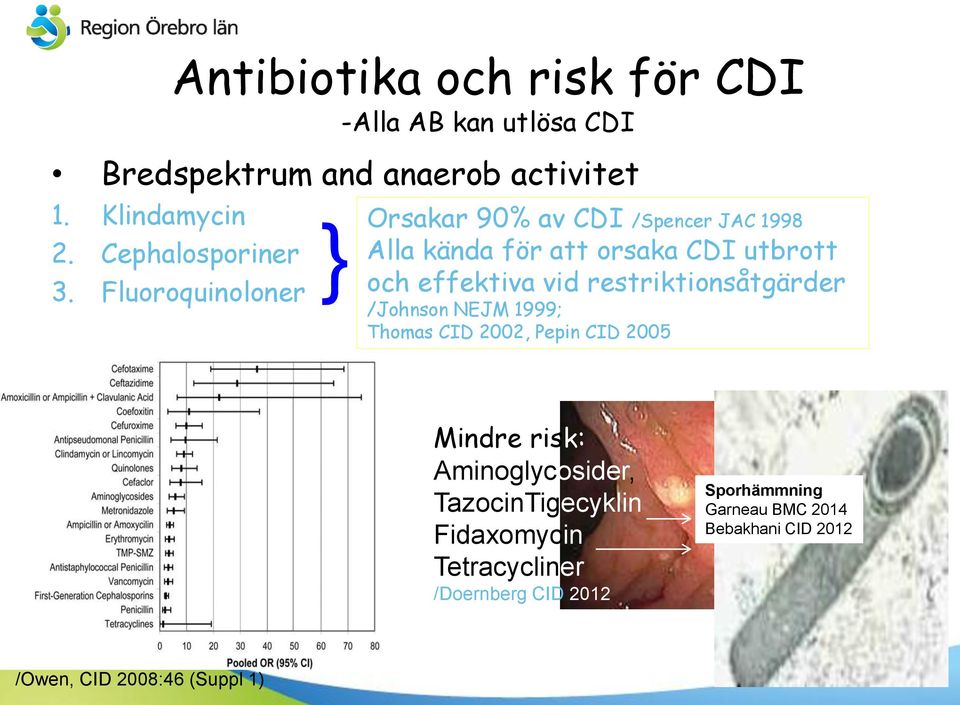 Fluoroquinoloner } } Orsakar 90% av CDI /Spencer JAC 1998 Alla kända för att orsaka CDI utbrott och effektiva vid