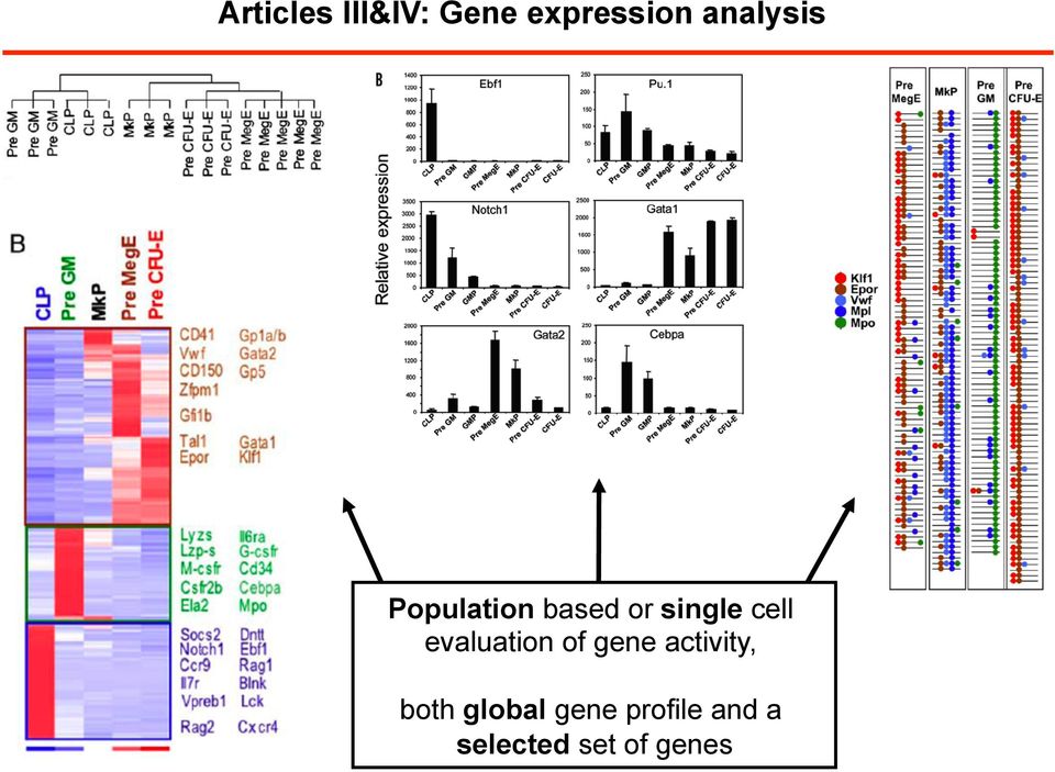 cell evaluation of gene activity, both