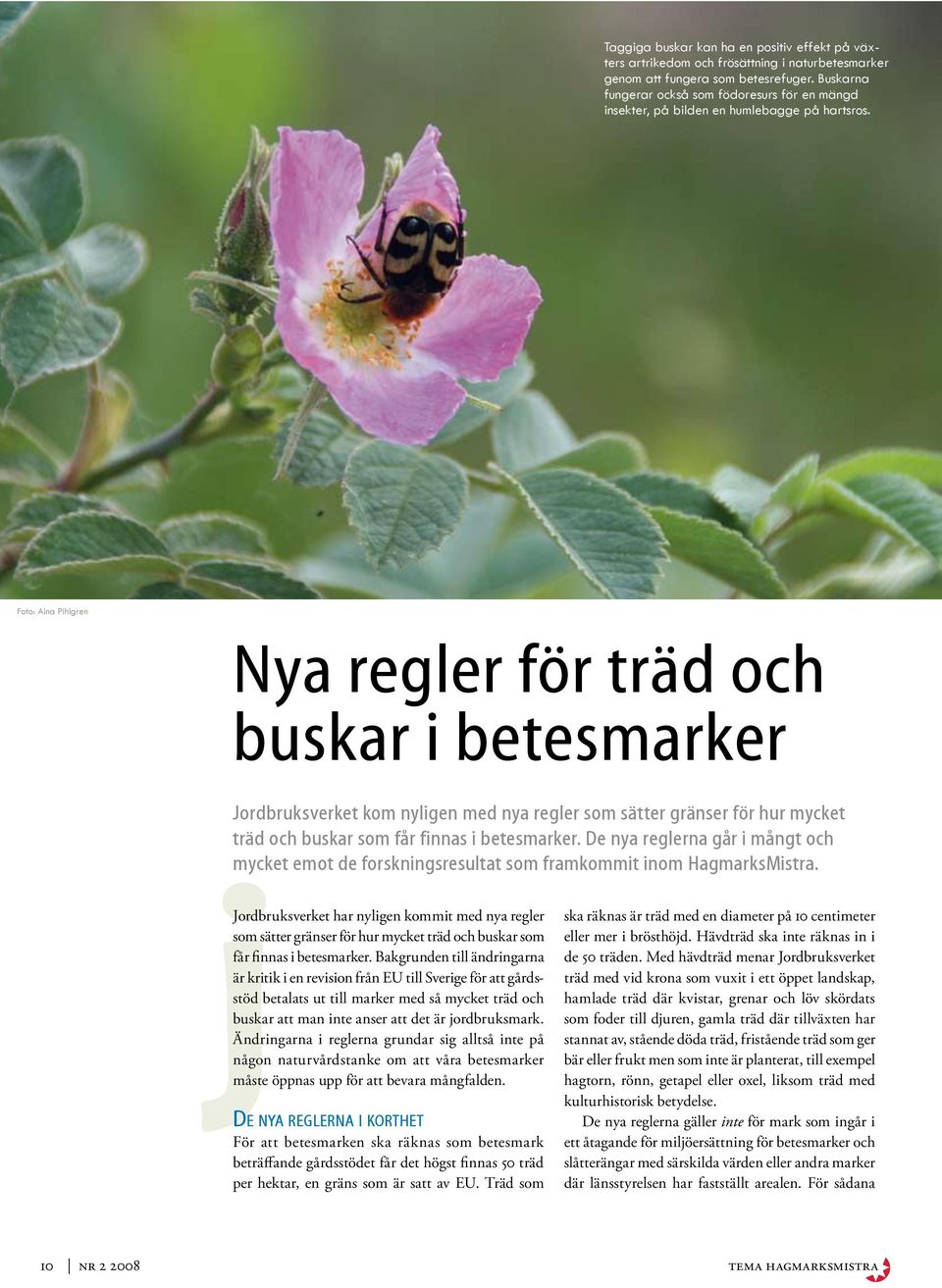Foto: Aina Pihlgren Nya regler för träd och buskar i betesmarker Jordbruksverket kom nyligen med nya regler som sätter gränser för hur mycket träd och buskar som får finnas i betesmarker.
