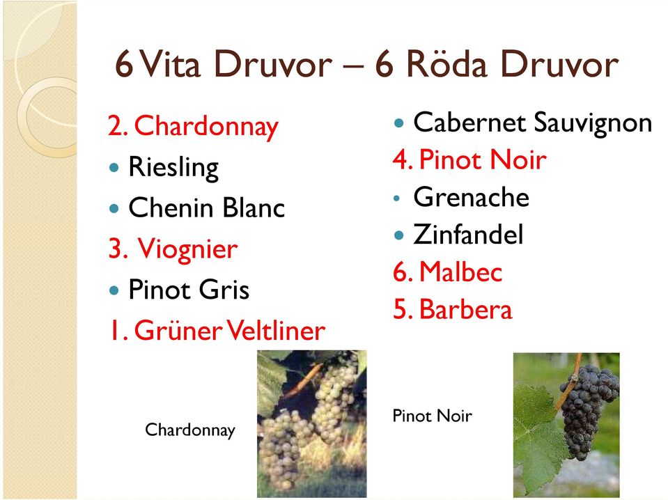 Viognier Pinot Gris 1.