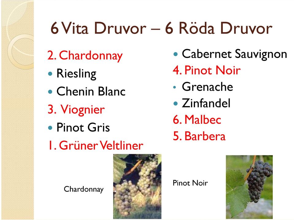 Viognier Pinot Gris 1.