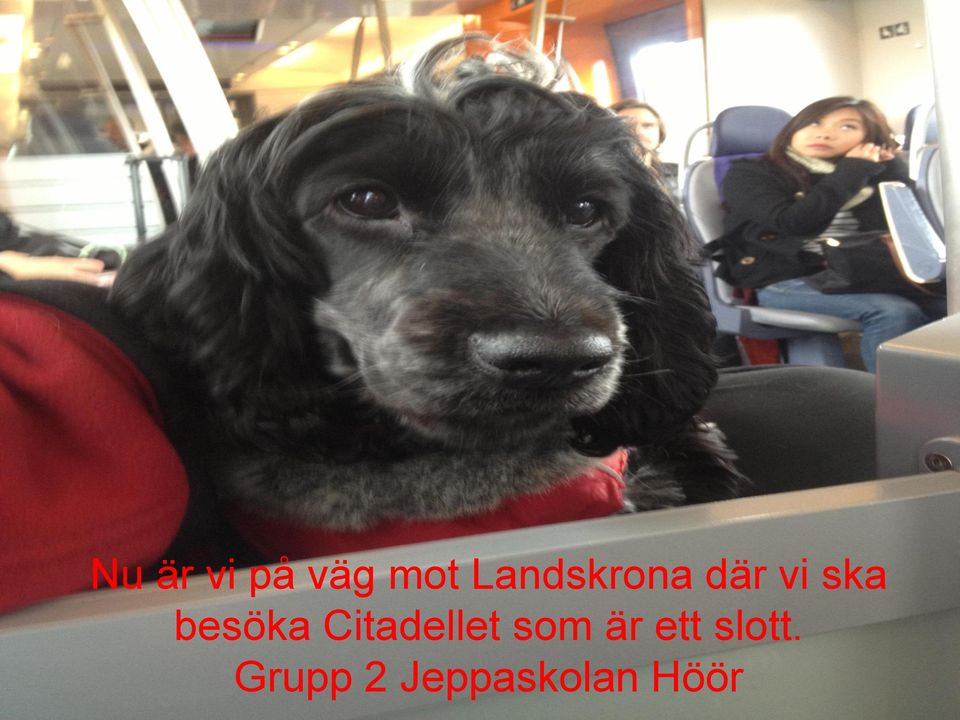 besöka Citadellet som är