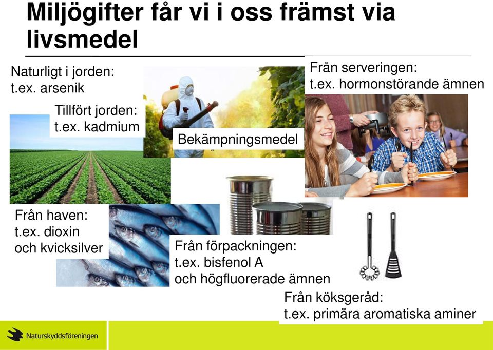 ex. dioxin och kvicksilver Från förpackningen: t.ex. bisfenol A och högfluorerade ämnen Från köksgeråd: t.