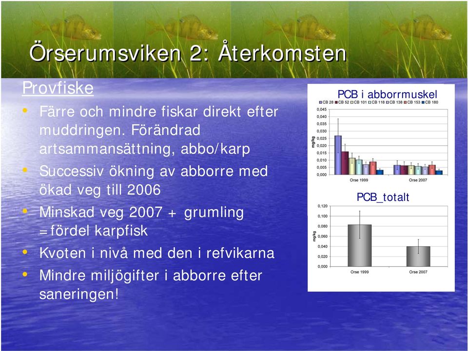 Minskad veg 2007 + grumling =fördel karpfisk Kvoten i nivå med den i refvikarna Mindre