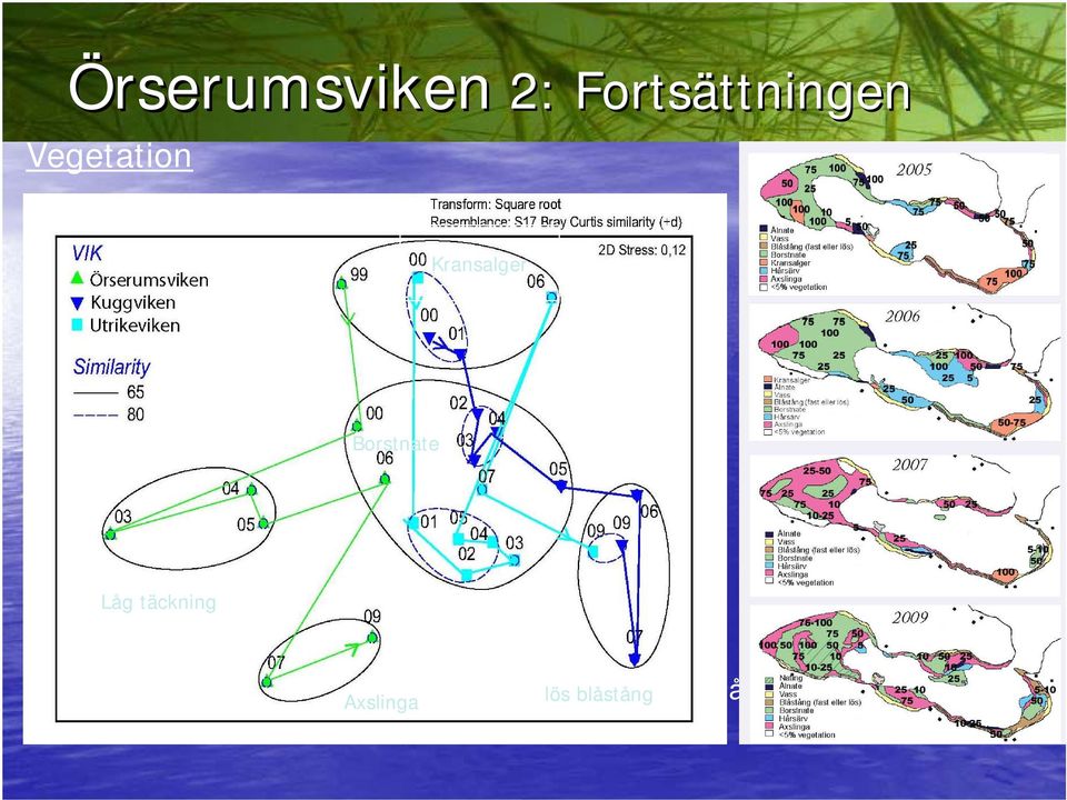 Varm vår och kall regning sommar Borstnate 2009 dominerade borstnate, axslinga och nating i Örserumsviken