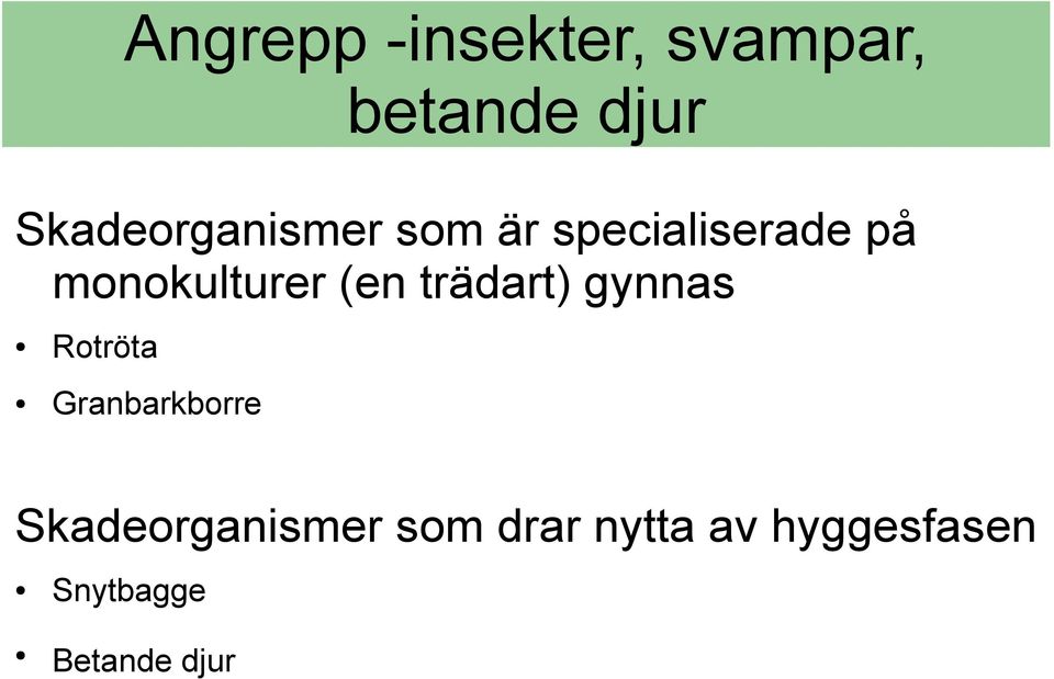 monokulturer (en trädart) gynnas Rotröta