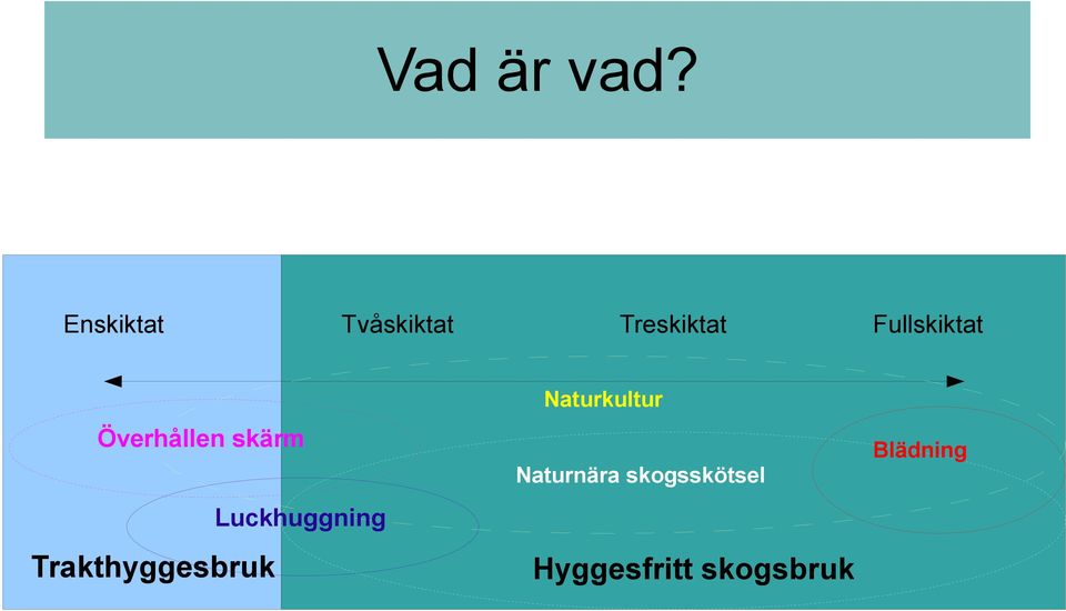 Fullskiktat Överhållen skärm