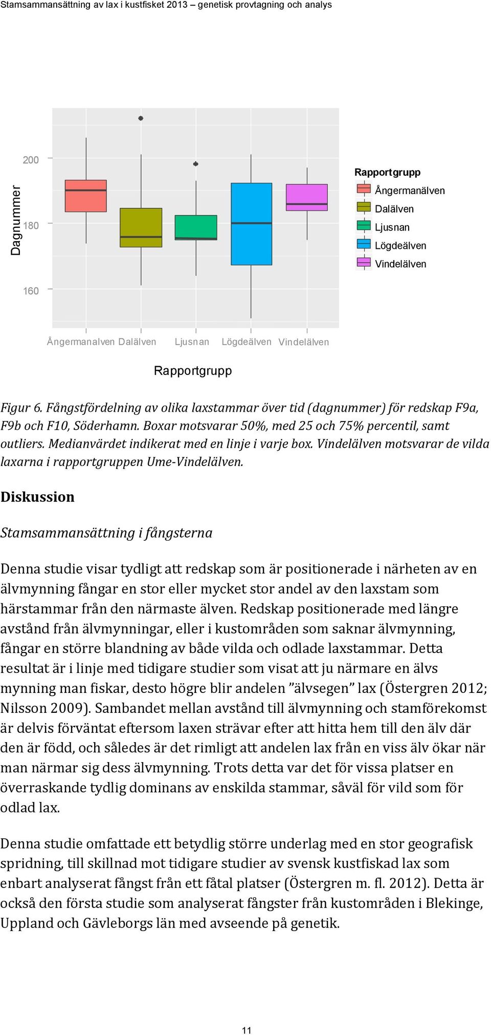 Medianvärdet indikerat med en linje i varje box. Vindelälven motsvarar de vilda laxarna i rapportgruppen Ume-Vindelälven.