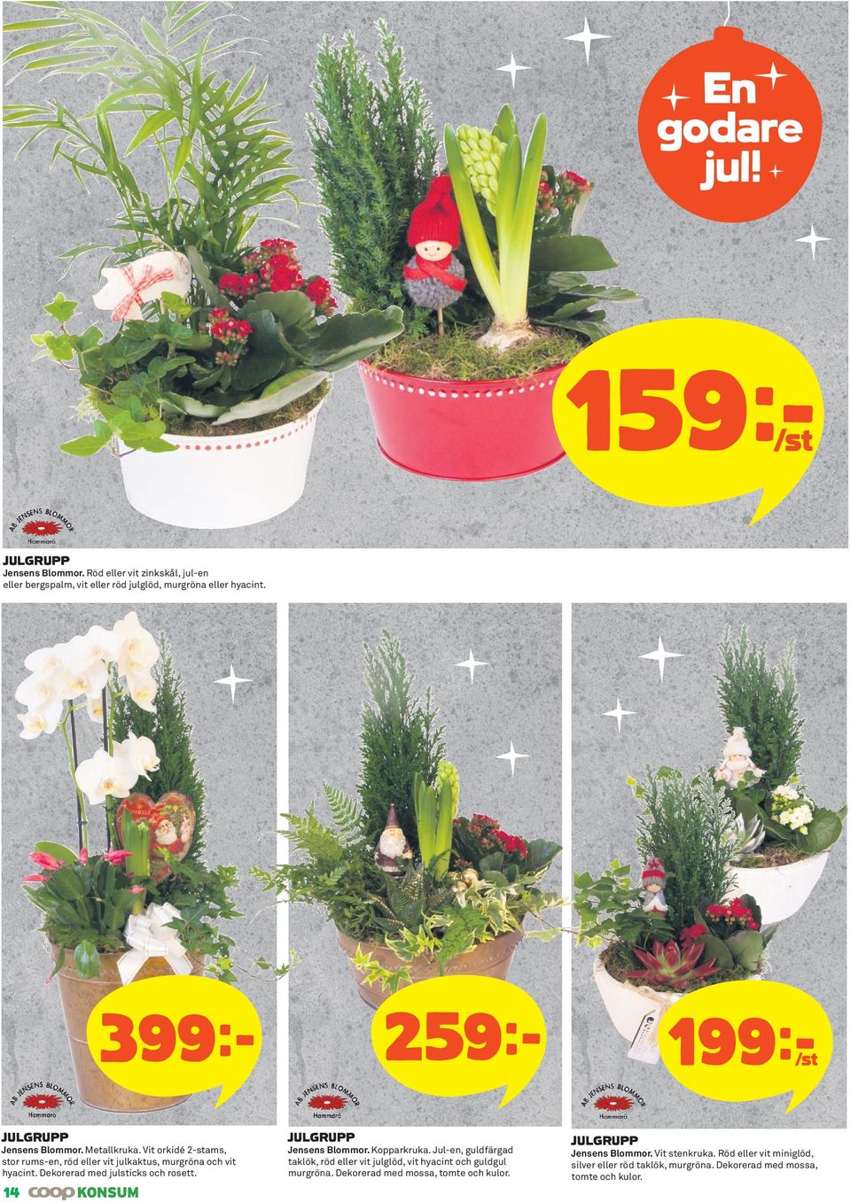 Dekorerad med julsticks och rosett. Jensens Blommor. Kopparkruka. Jul-en, guldfärgad taklök, röd eller vit julglöd, vit hyacint och guldgul murgröna.