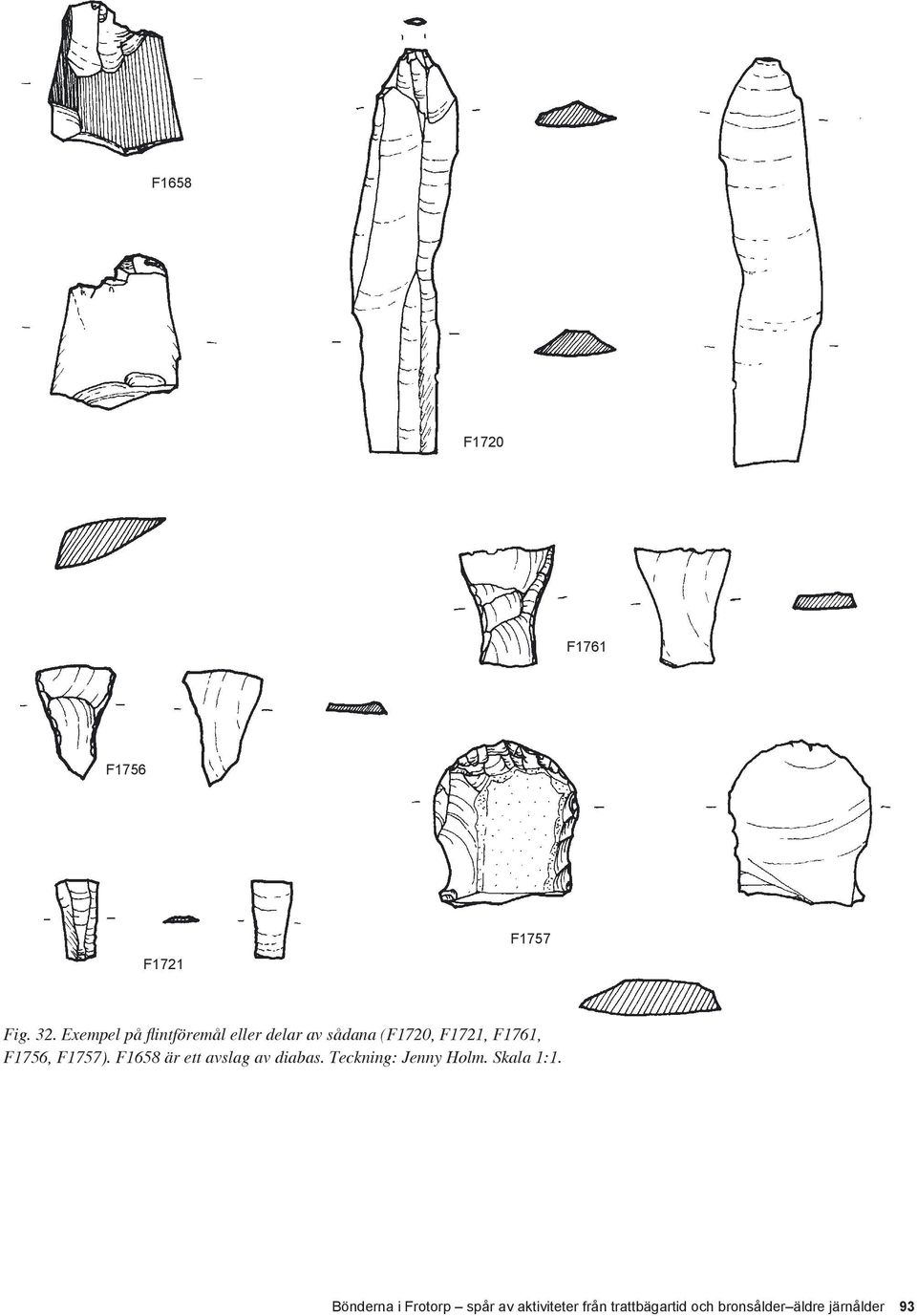 F1756, F1757). F1658 är ett avslag av diabas. Teckning: Jenny Holm.