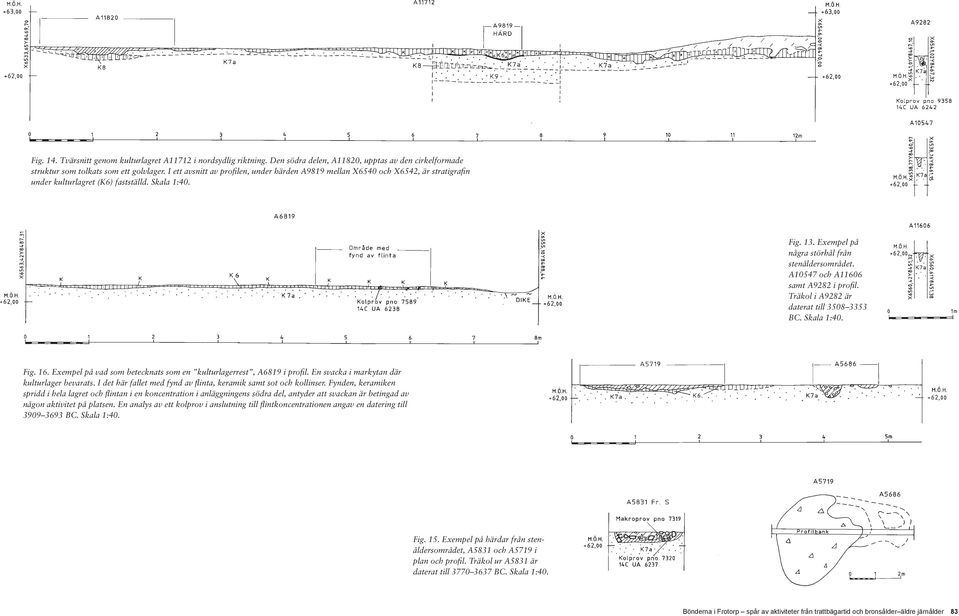 A10547 och A11606 samt A9282 i profil. Träkol i A9282 är daterat till 3508 3353 BC. Skala 1:40. Fig. 16. Exempel på vad som betecknats som en kulturlagerrest, A6819 i profil.