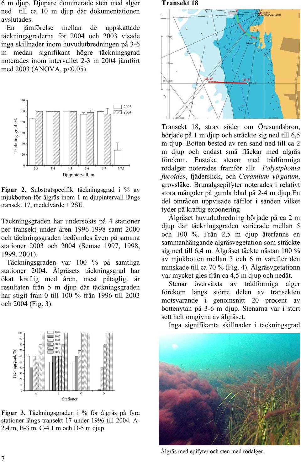 jämfört med 2003 (ANOVA, p<0,05). Transekt 18 120 100 2003 Täckningsgrad, % 80 60 40 20 0 2-3 3-4 4-5 5-6 6-7 7-7,5 Figur 2.