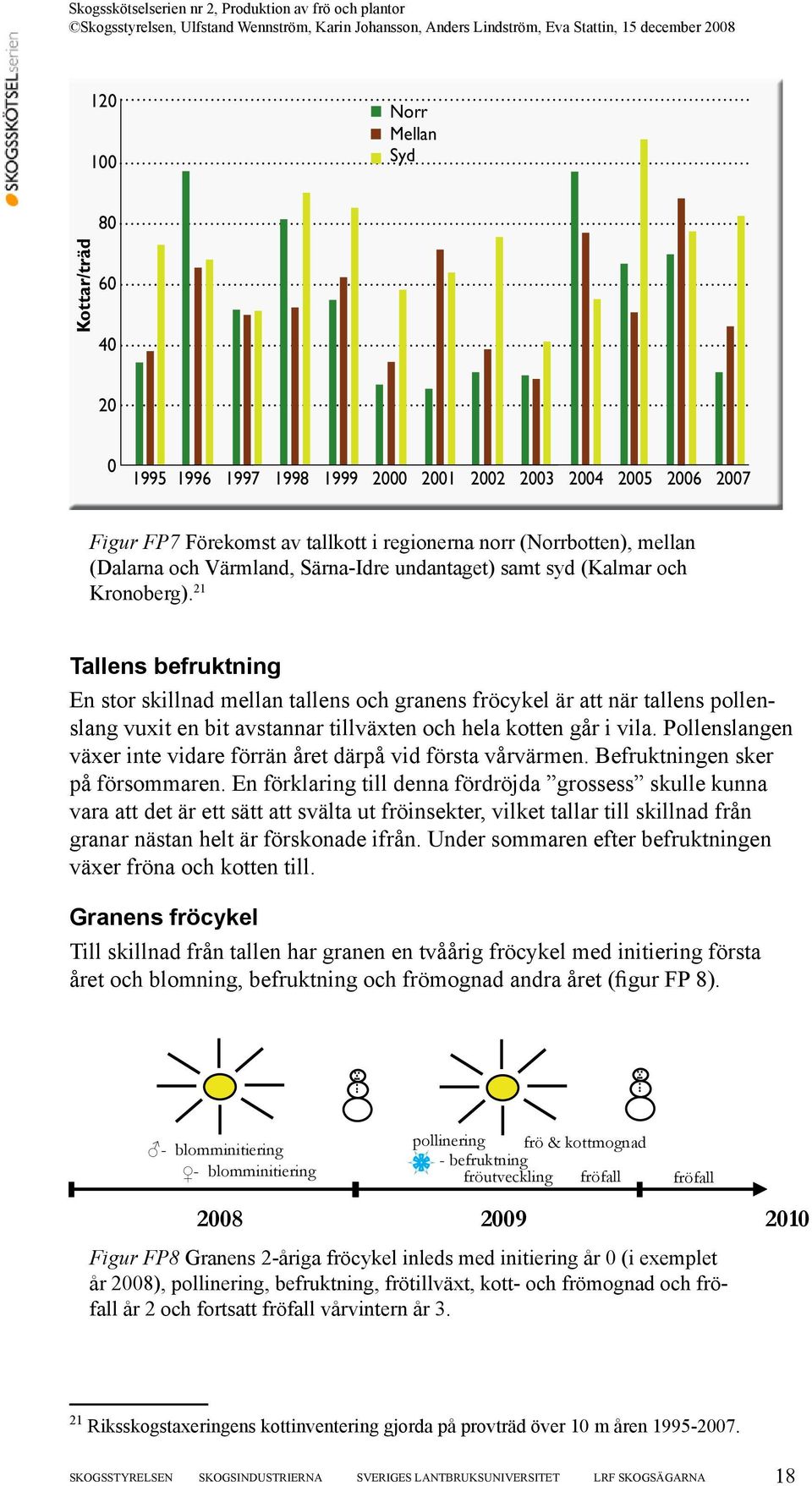 21 Tallens befruktning En stor skillnad mellan tallens och granens fröcykel är att när tallens pollenslang vuxit en bit avstannar tillväxten och hela kotten går i vila.