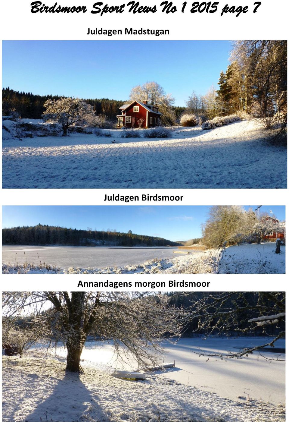 Juldagen Birdsmoor Läs/se mer på