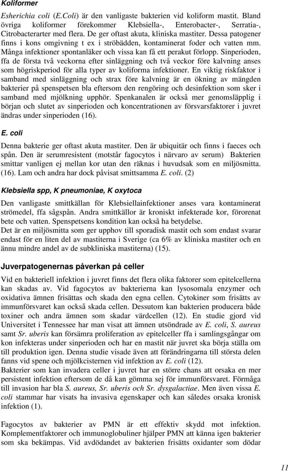 Sinperioden, ffa de första två veckorna efter sinläggning och två veckor före kalvning anses som högriskperiod för alla typer av koliforma infektioner.