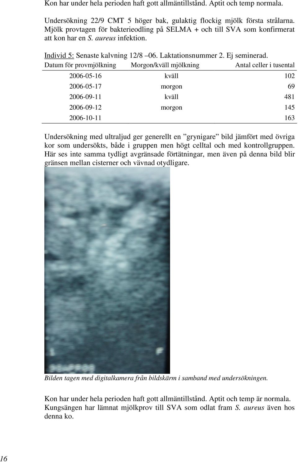 Datum för provmjölkning Morgon/kväll mjölkning Antal celler i tusental 2006-05-16 kväll 102 2006-05-17 morgon 69 2006-09-11 kväll 481 2006-09-12 morgon 145 2006-10-11 163 Undersökning med ultraljud