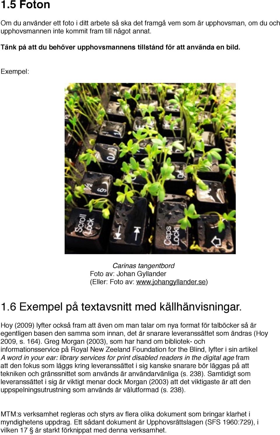 6 Exempel på textavsnitt med källhänvisningar.