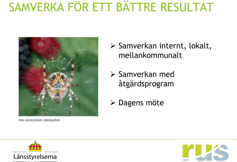 lokalt, mellankommunalt