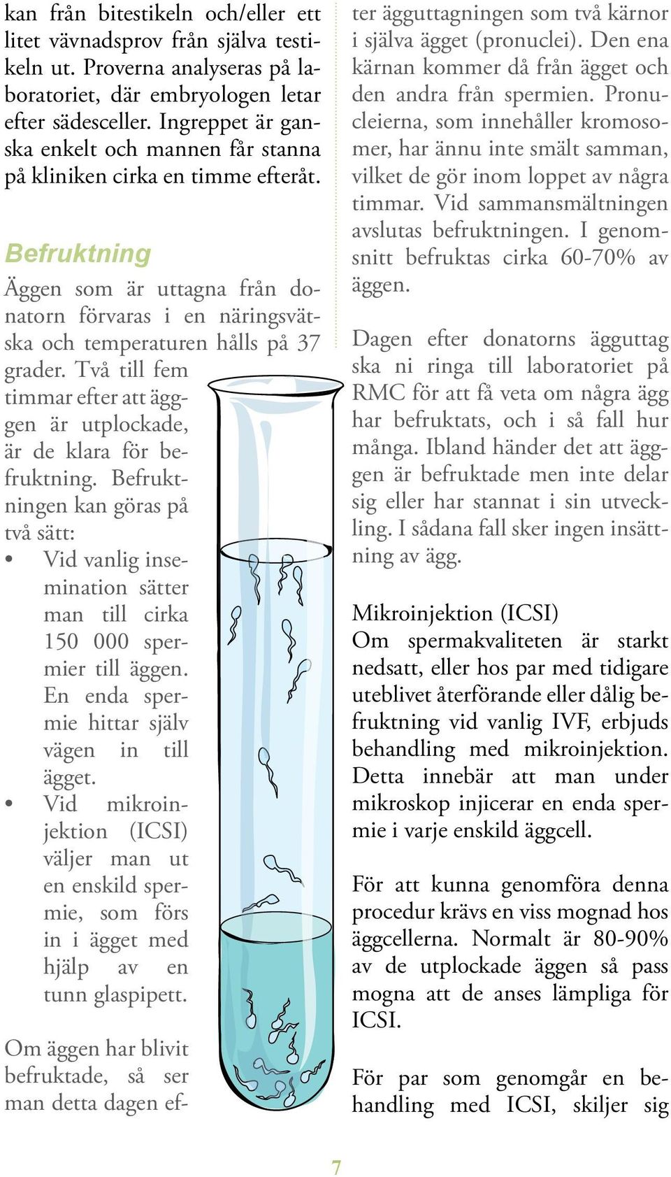 Två till fem timmar efter att ägggen är utplockade, är de klara för befruktning. Befruktningen kan göras på två sätt: Vid vanlig insemination sätter man till cirka 150 000 spermier till äggen.