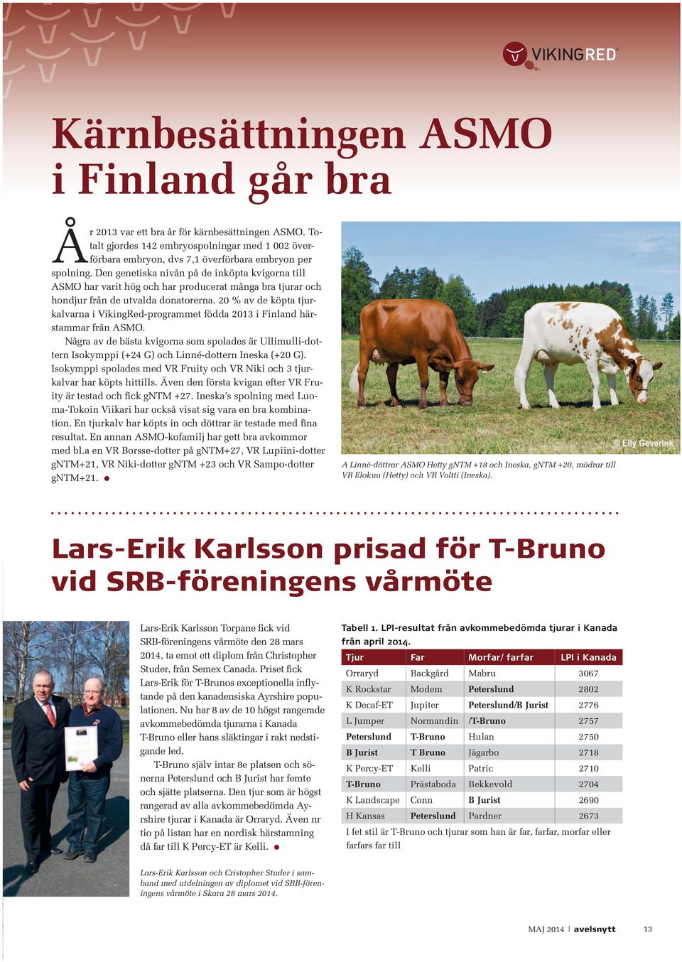 20 % av de köpta tjurkalvarna i VikingRed-programmet födda 2013 i Finland härstammar från ASMO.