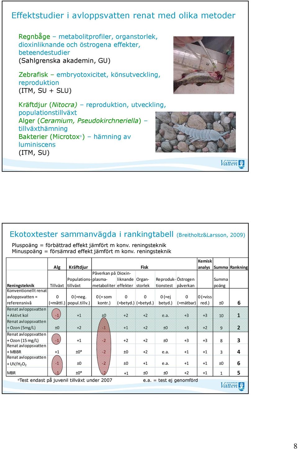 (Microtox ) hämning av luminiscens (ITM, SU) Ekotoxtester sammanvägda i rankingtabell (Breitholtz&Larsson, 2009) Pluspoäng = förbättrad effekt jämfört m konv.