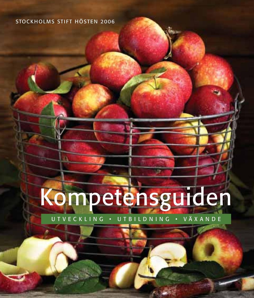 Kompetensguiden