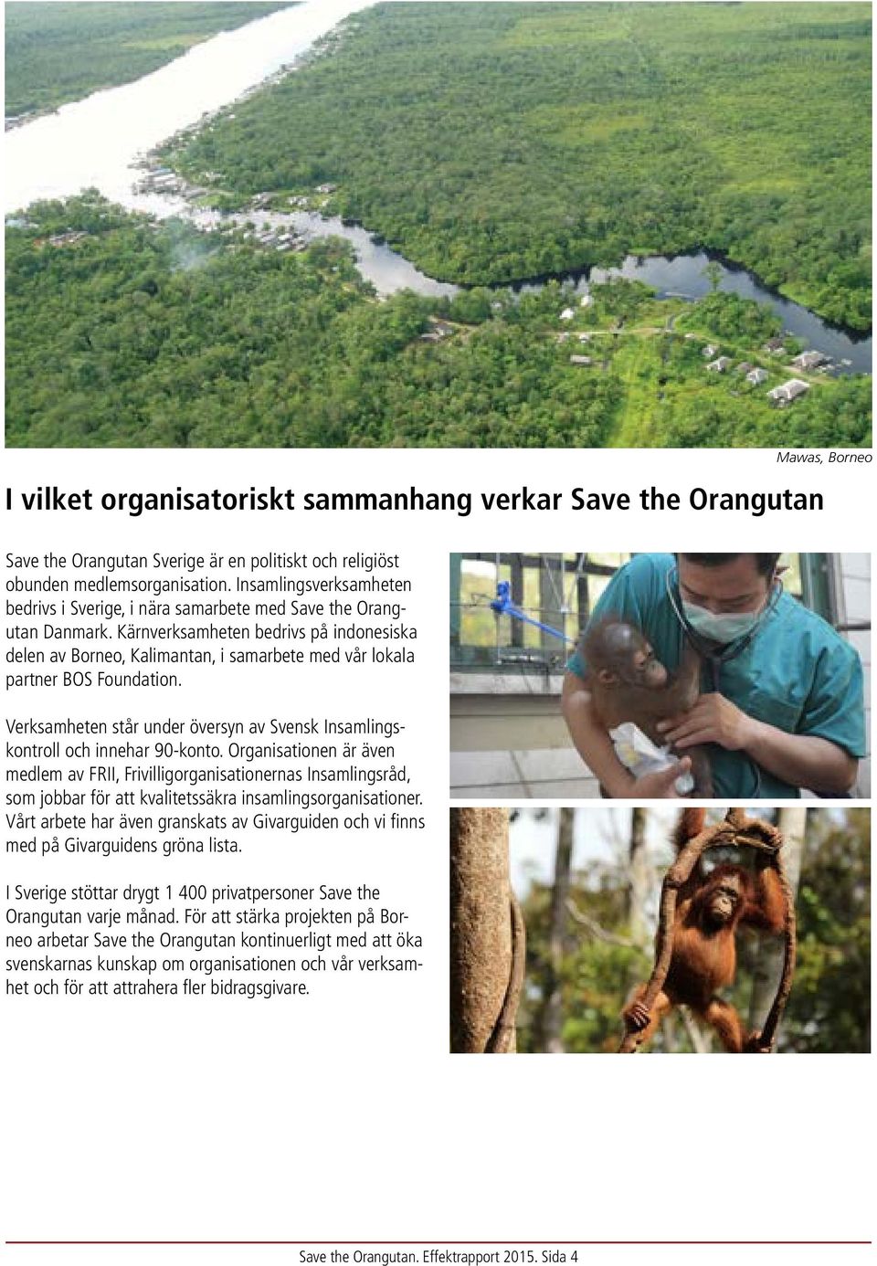 Kärnverksamheten bedrivs på indonesiska delen av Borneo, Kalimantan, i samarbete med vår lokala partner BOS Foundation.