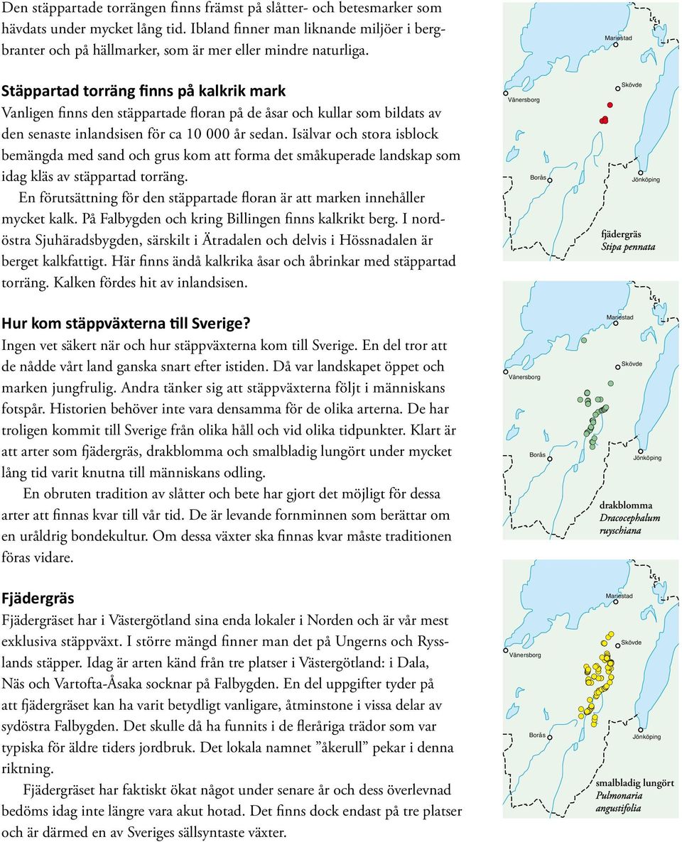 Stäppartad torräng finns på kalkrik mark Vanligen finns den stäppartade floran på de åsar och kullar som bildats av den senaste inlandsisen för ca 10 000 år sedan.