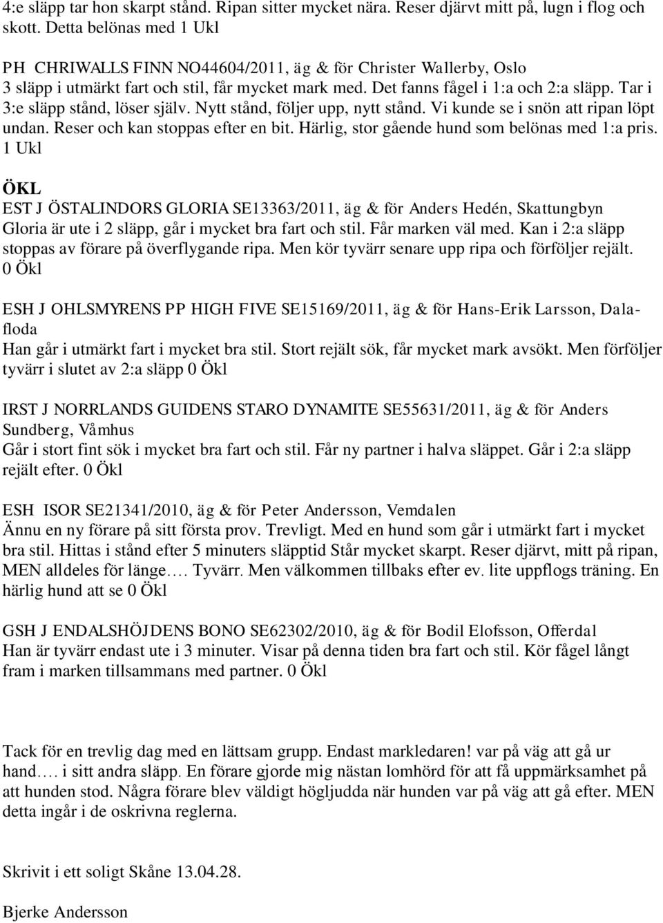 Tar i 3:e släpp stånd, löser själv. Nytt stånd, följer upp, nytt stånd. Vi kunde se i snön att ripan löpt undan. Reser och kan stoppas efter en bit. Härlig, stor gående hund som belönas med 1:a pris.