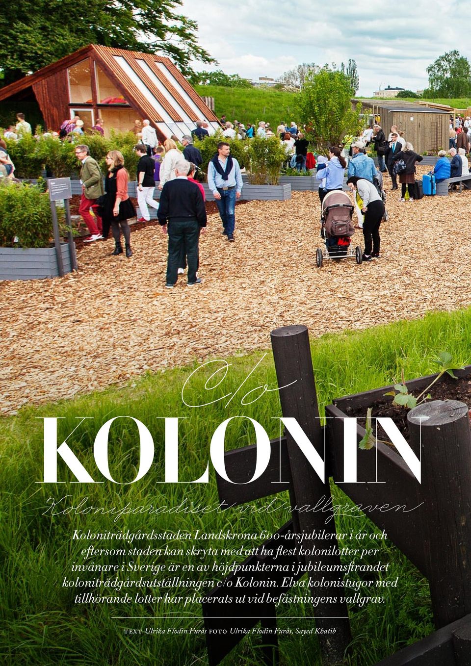 i jubileumsfirandet koloniträdgårdsutställningen c/o Kolonin.