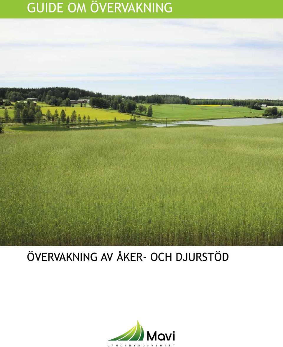 Övervakning