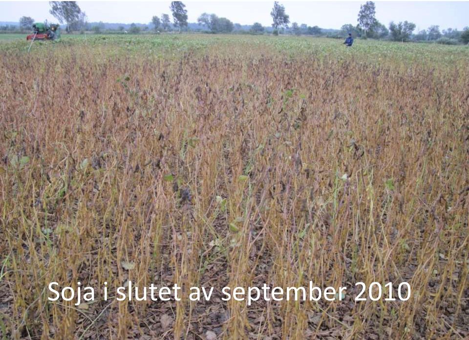 september