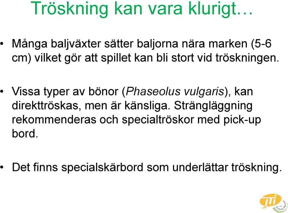 Vissa typer av bönor (Phaseolus vulgaris), kan direkttröskas, men är känsliga.