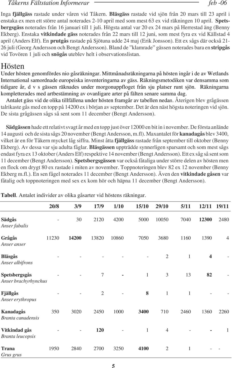 Enstaka vitkindade gäss noterades från 22 mars till 12 juni, som mest fyra ex vid Källstad 4 april (Anders Elf). En prutgås rastade på Sjötuna udde 24 maj (Erik Jonsson).