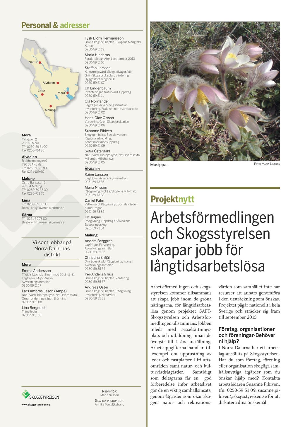 Dalarnas distrikt Mora Emma Andersson Tf distriktschef, till och med 2013-12-31 Lagfrågor, Miljöhänsyn Avverkningsanmälan 0250-59 51 17 Lars Ambrosiusson (Ampe) Naturvård, Biotopskydd,