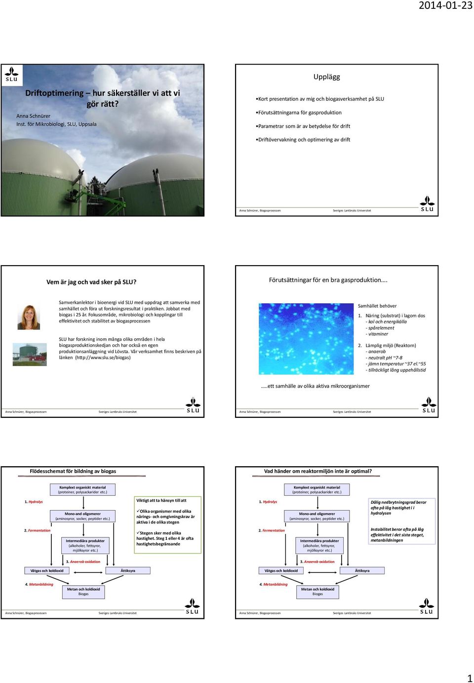 drift Vem är jag och vad sker på SLU? Förutsättningar för en bra gasproduktion. Samverkanlektor i bioenergi vid SLU med uppdrag att samverka med samhället och föra ut forskningsresultat i praktiken.