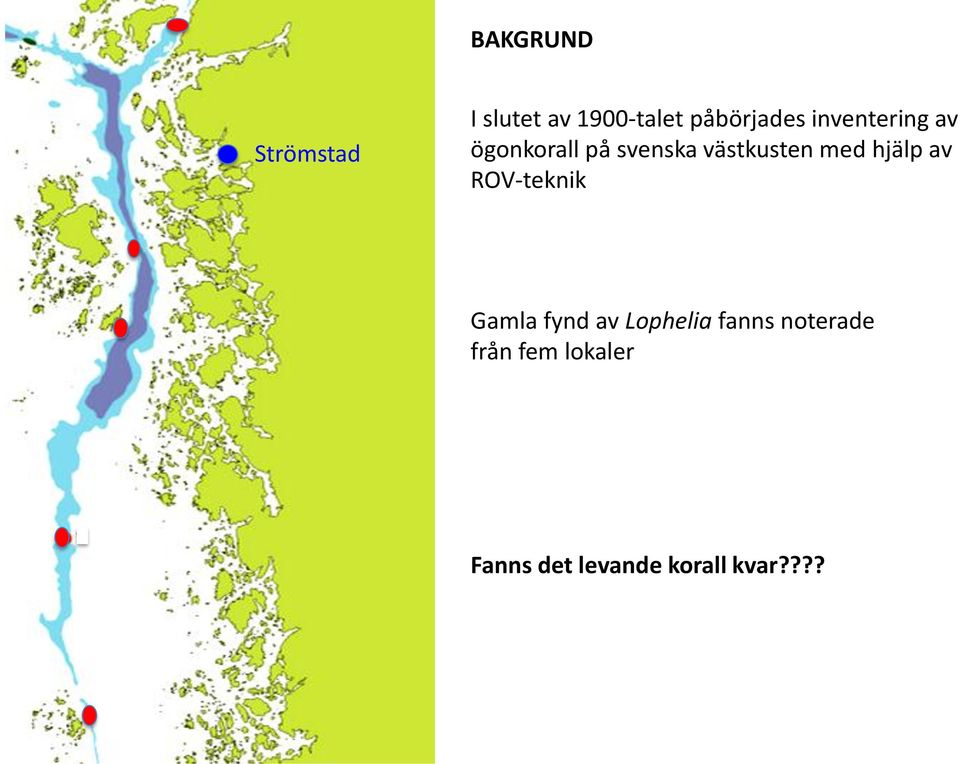 hjälp av ROV-teknik Gamla fynd av Lophelia fanns