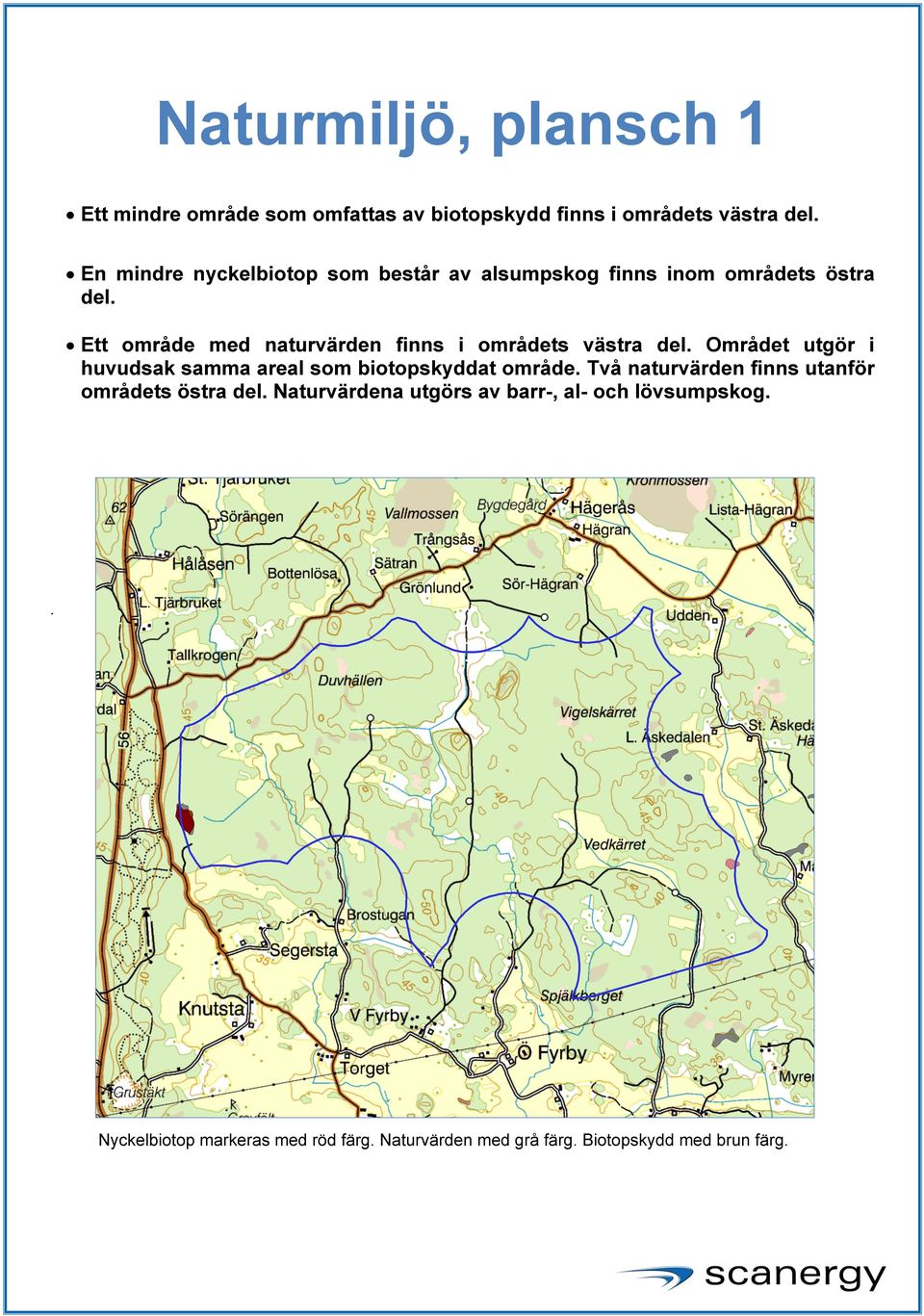 Ett område med naturvärden finns i områdets västra del. Området utgör i huvudsak samma areal som biotopskyddat område.