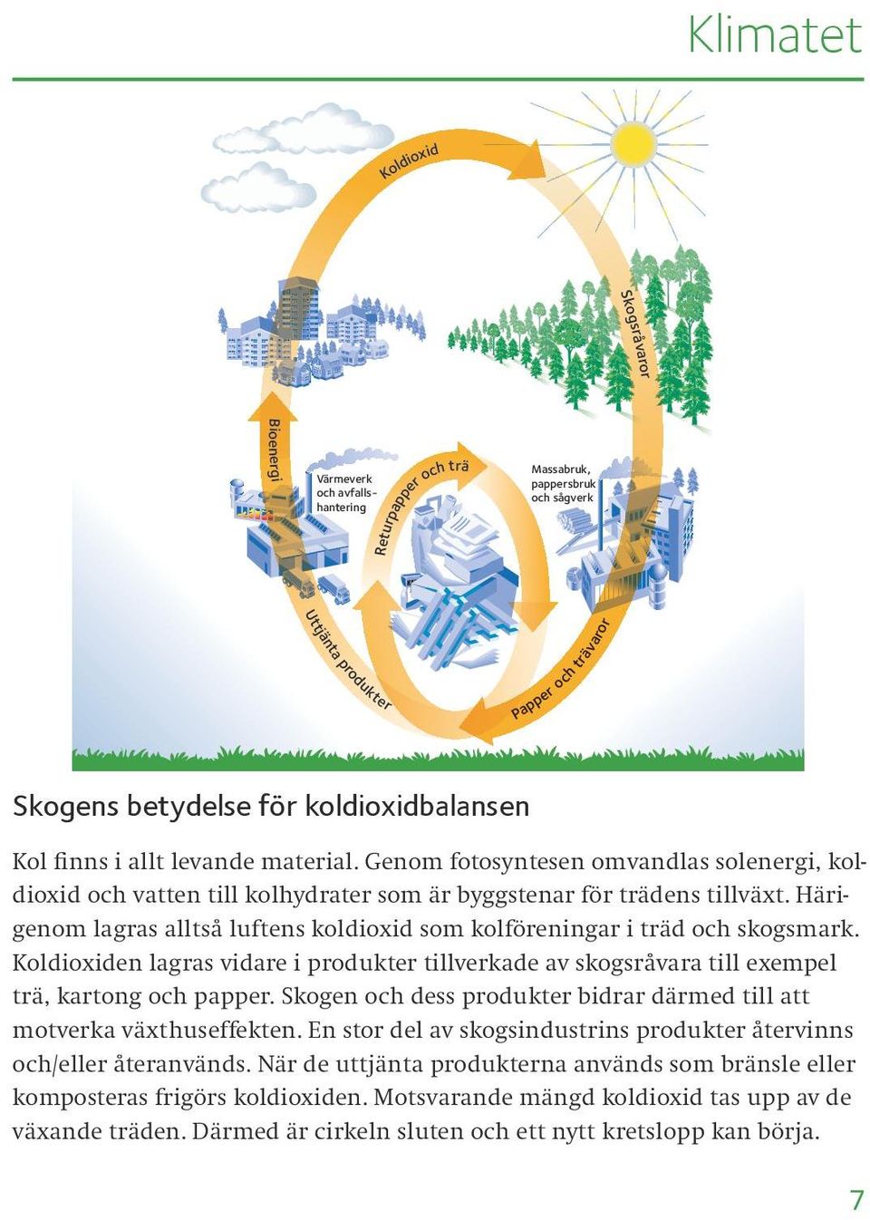 Härigenom lagras alltså luftens koldioxid som kolföreningar i träd och skogsmark. Koldioxiden lagras vidare i produkter tillverkade av skogsråvara till exempel trä, kartong och papper.