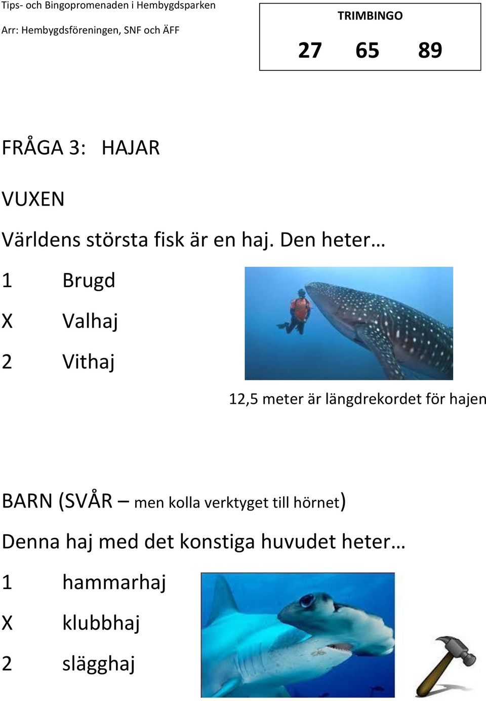 för hajen (SVÅR men kolla verktyget till hörnet) Denna haj