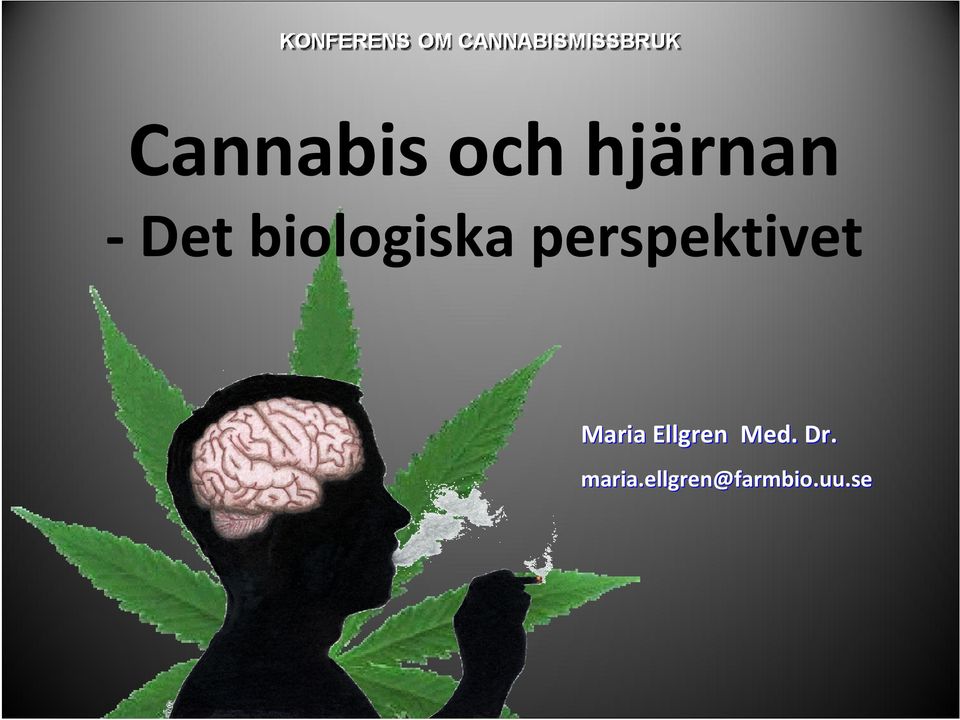 perspektivet Med. Dr.