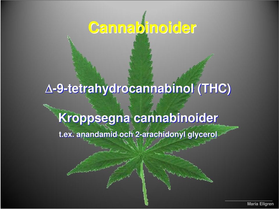 (THC) Kroppsegna