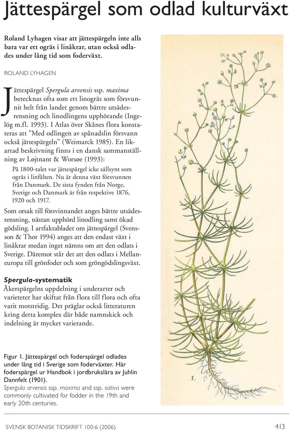 1993). I Atlas över Skånes flora konstateras att Med odlingen av spånadslin försvann också jättespärgeln (Weimarck 1985).
