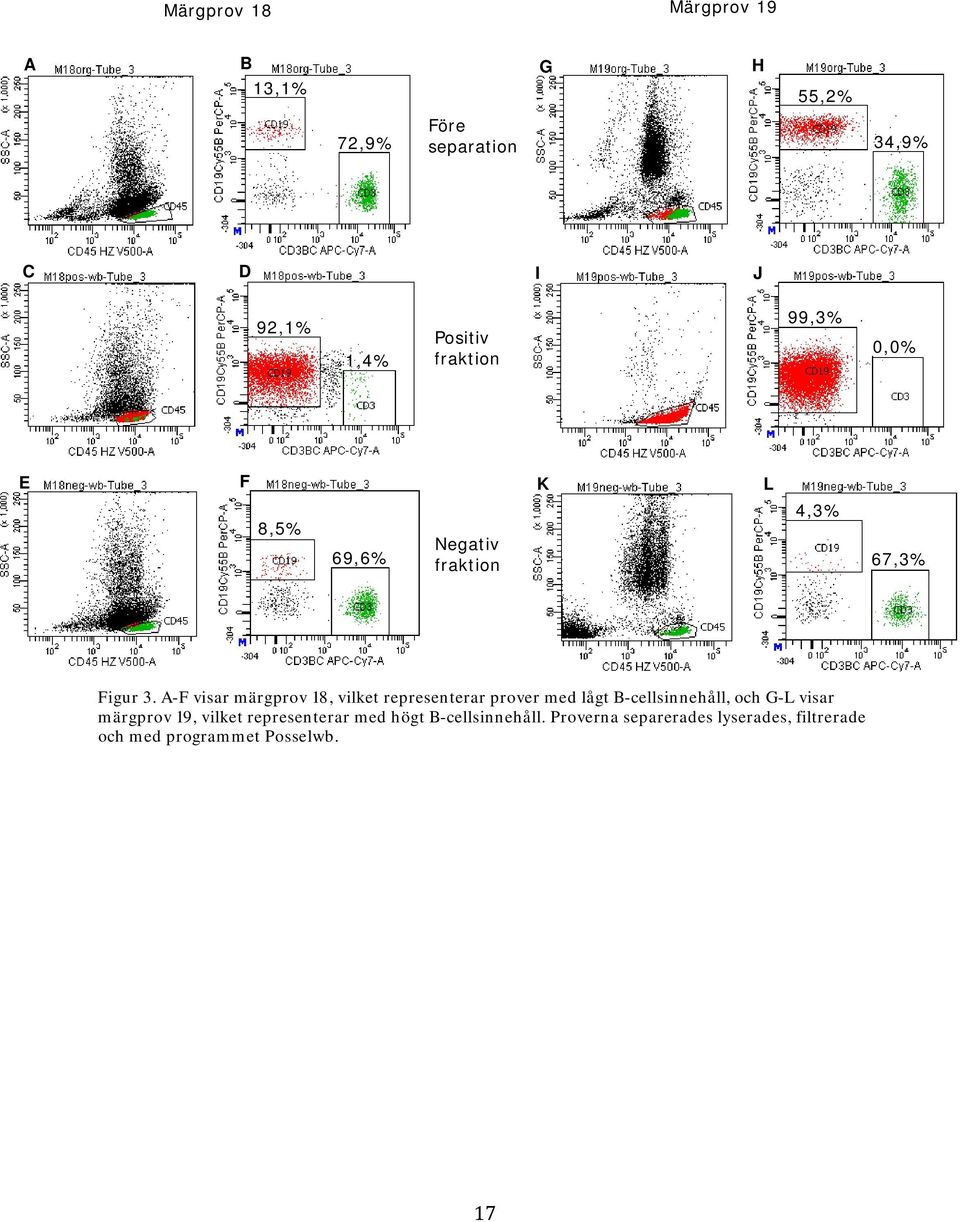A-F visar märgprov 18, vilket representerar prover med lågt B-cellsinnehåll, och G-L visar märgprov