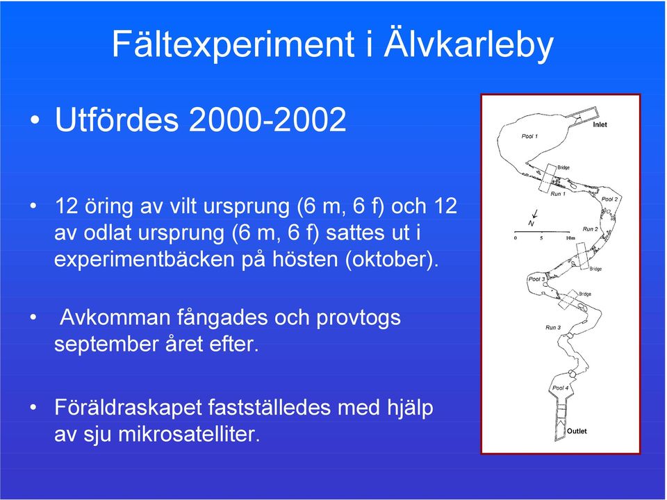 experimentbäcken på hösten (oktober).