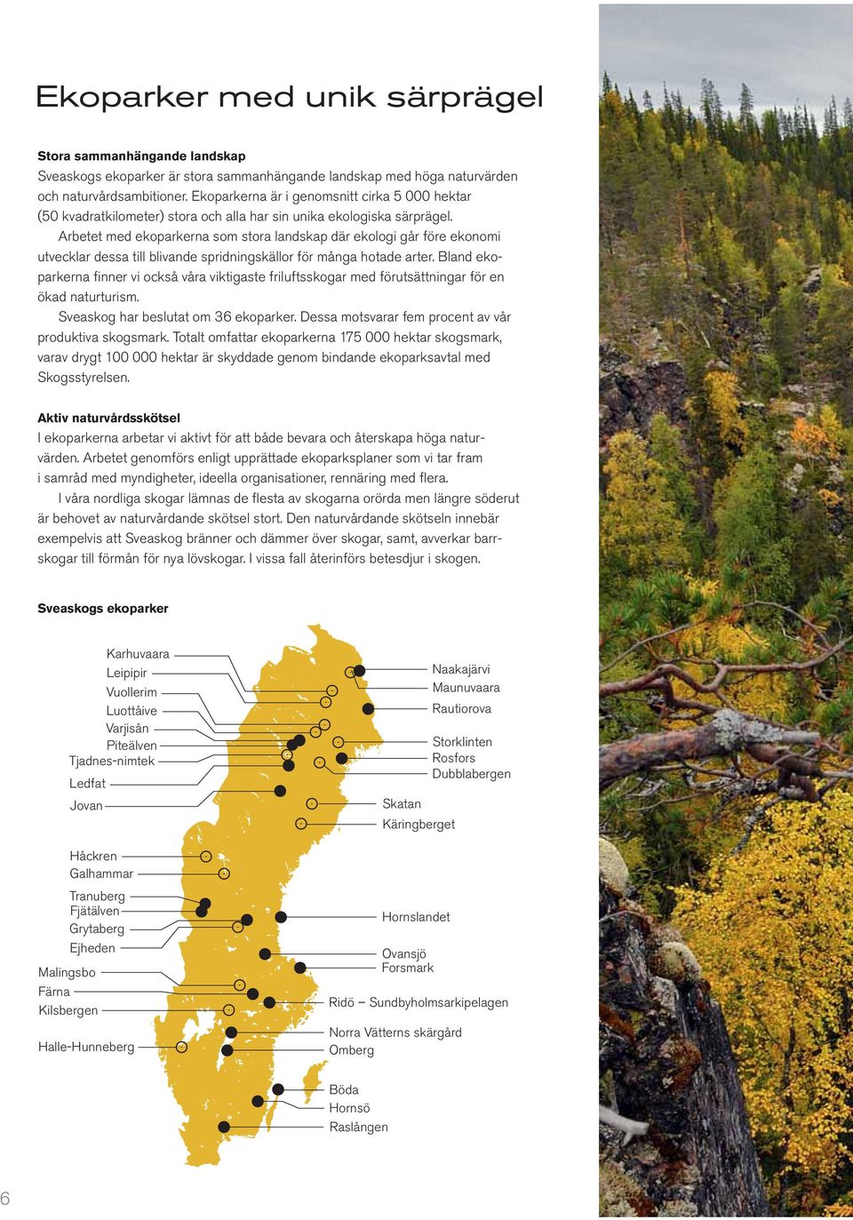 Arbetet med ekoparkerna som stora landskap där ekologi går före ekonomi utvecklar dessa till blivande spridningskällor för många hotade arter.