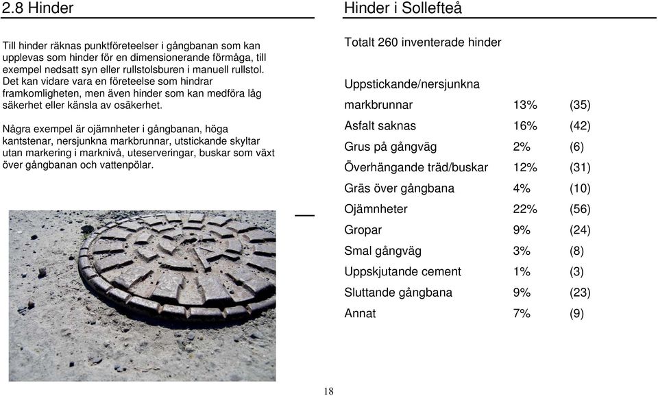 Några exempel är ojämnheter i gångbanan, höga kantstenar, nersjunkna markbrunnar, utstickande skyltar utan markering i marknivå, uteserveringar, buskar som växt över gångbanan och vattenpölar.