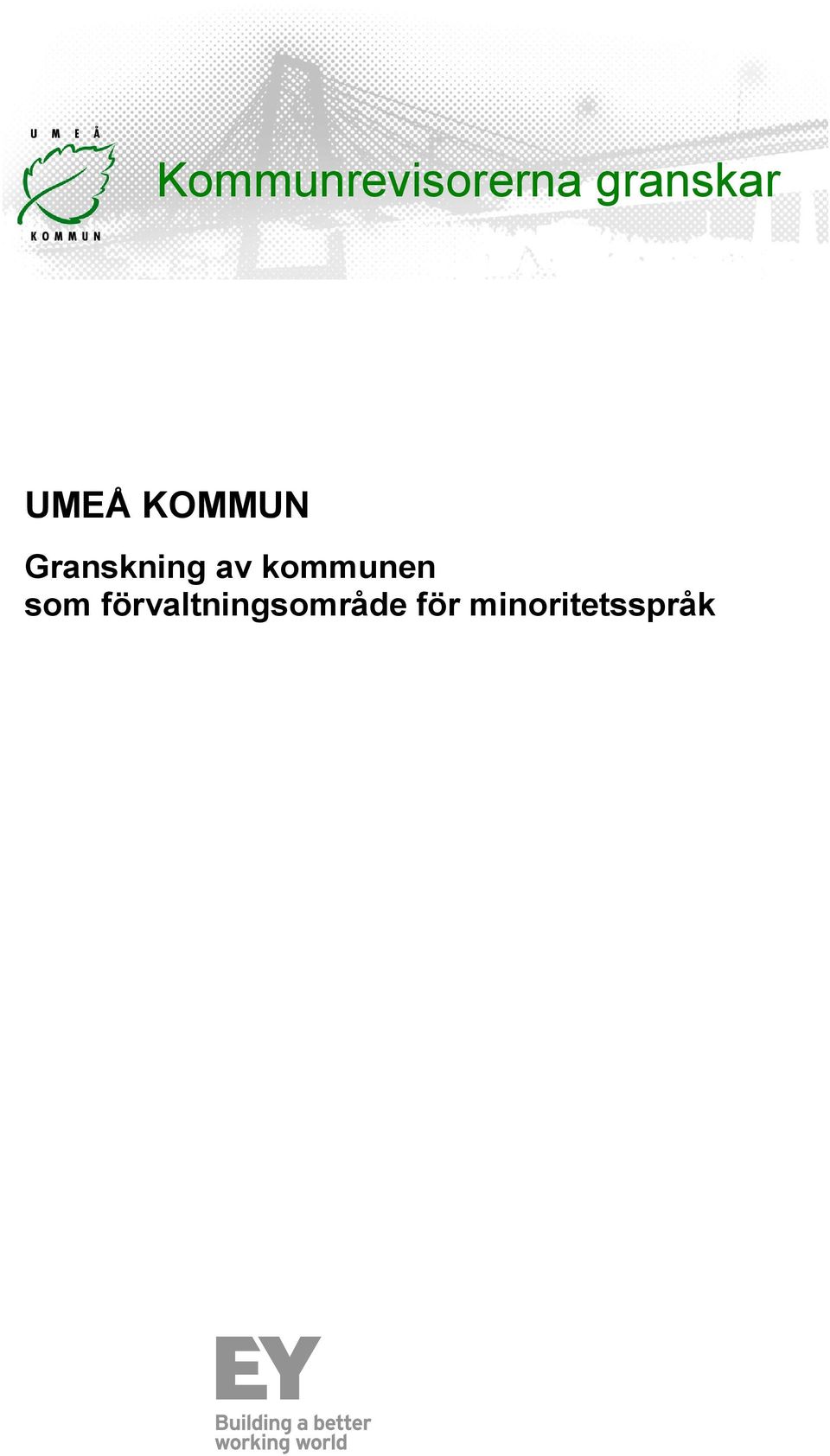 Granskning av kommunen